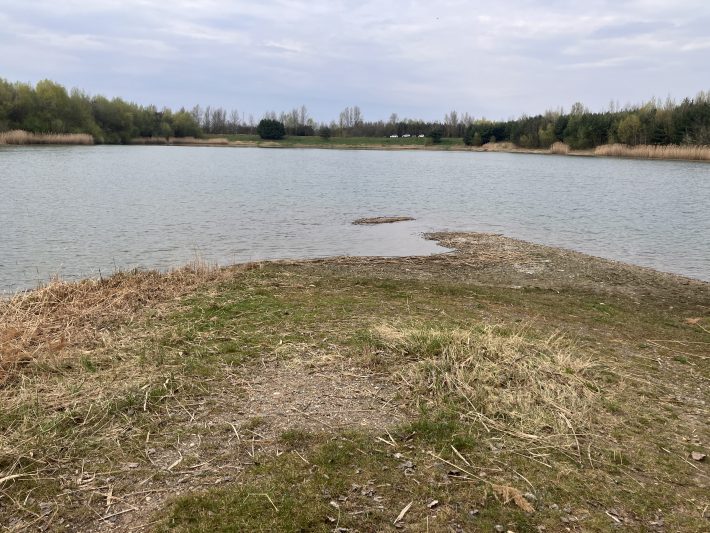 Začíná pstruhová sezona