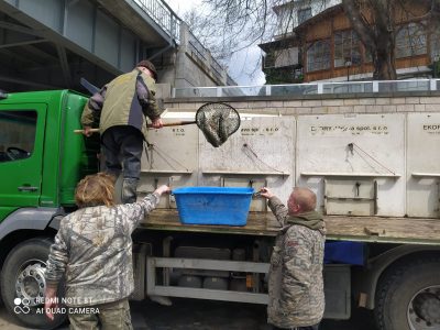 Nasazování štik, amurů a bílé ryby