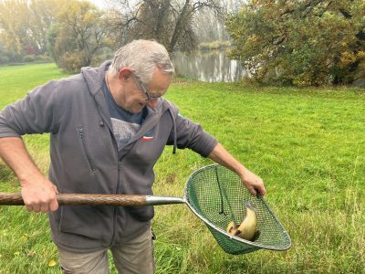 Nasazování 18.10.