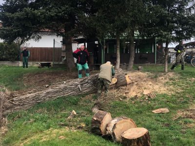 Lužecká tůň je uklizená a upravená