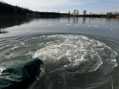 Vysazeni pstruzi a uzávěra revíru