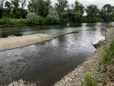 Nasazování na Vltavu