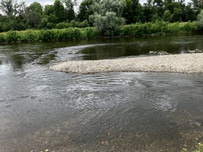 Nasazování na Vltavu