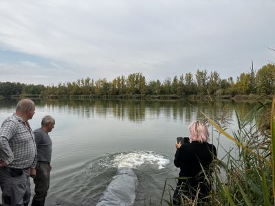 Nasazování 10.10.