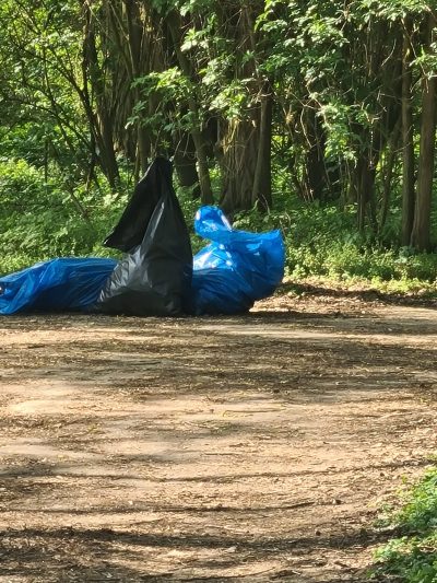 Děkujeme za úklid Mlazic