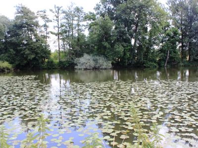 411 167 podrevír 2, LABE 14 A - Sidonka Hořín