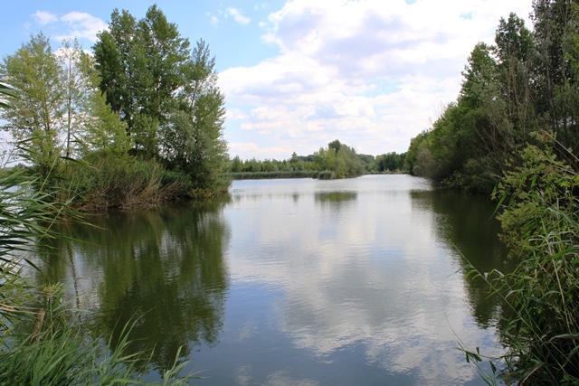 411 167 podrevír 1, LABE 14 A - Pískovna Vlíněves (Baraba)