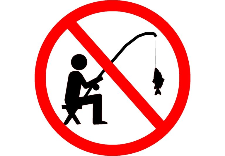 Zákaz rybolovu Lužec nad Vltavou - prodlouženo do 20.11.