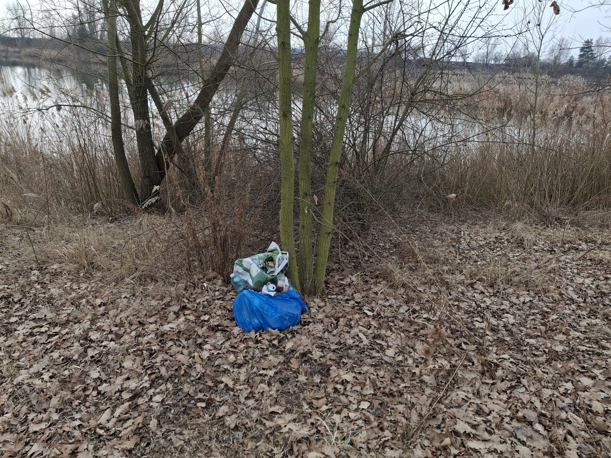 Pozvánka na úklid Mlazic